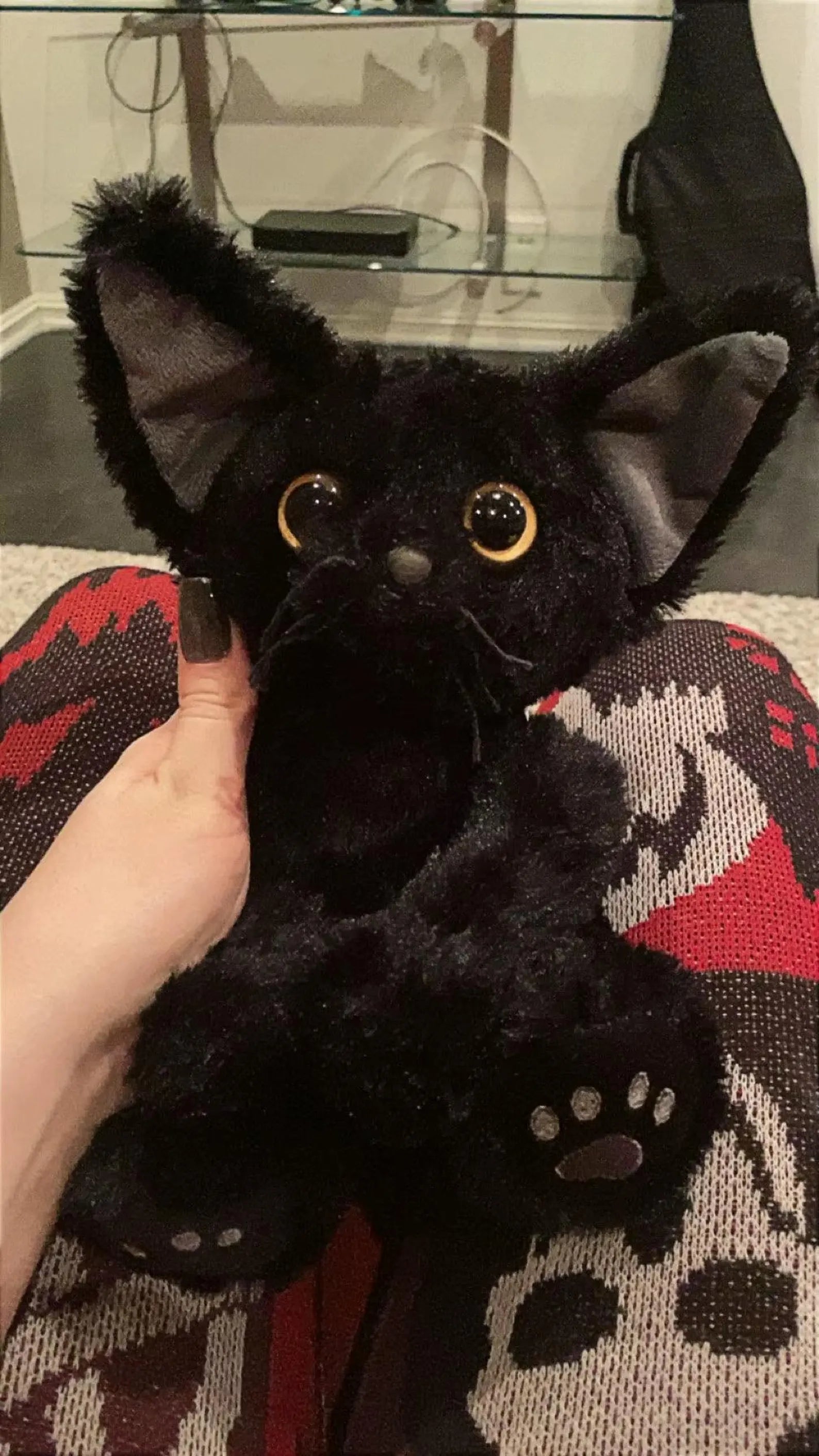 Black Cat Plush